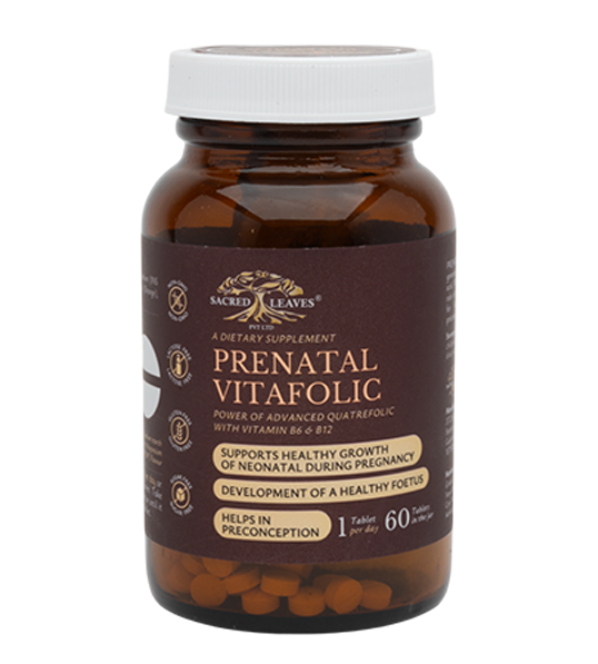 PRENATAL VITAL FOLIC
